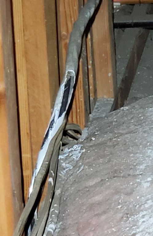 Electrical wiring with insulation gnawed by rodents in residential attic — fire hazard documented during Janus Pest Management rodent inspection in Los Angeles