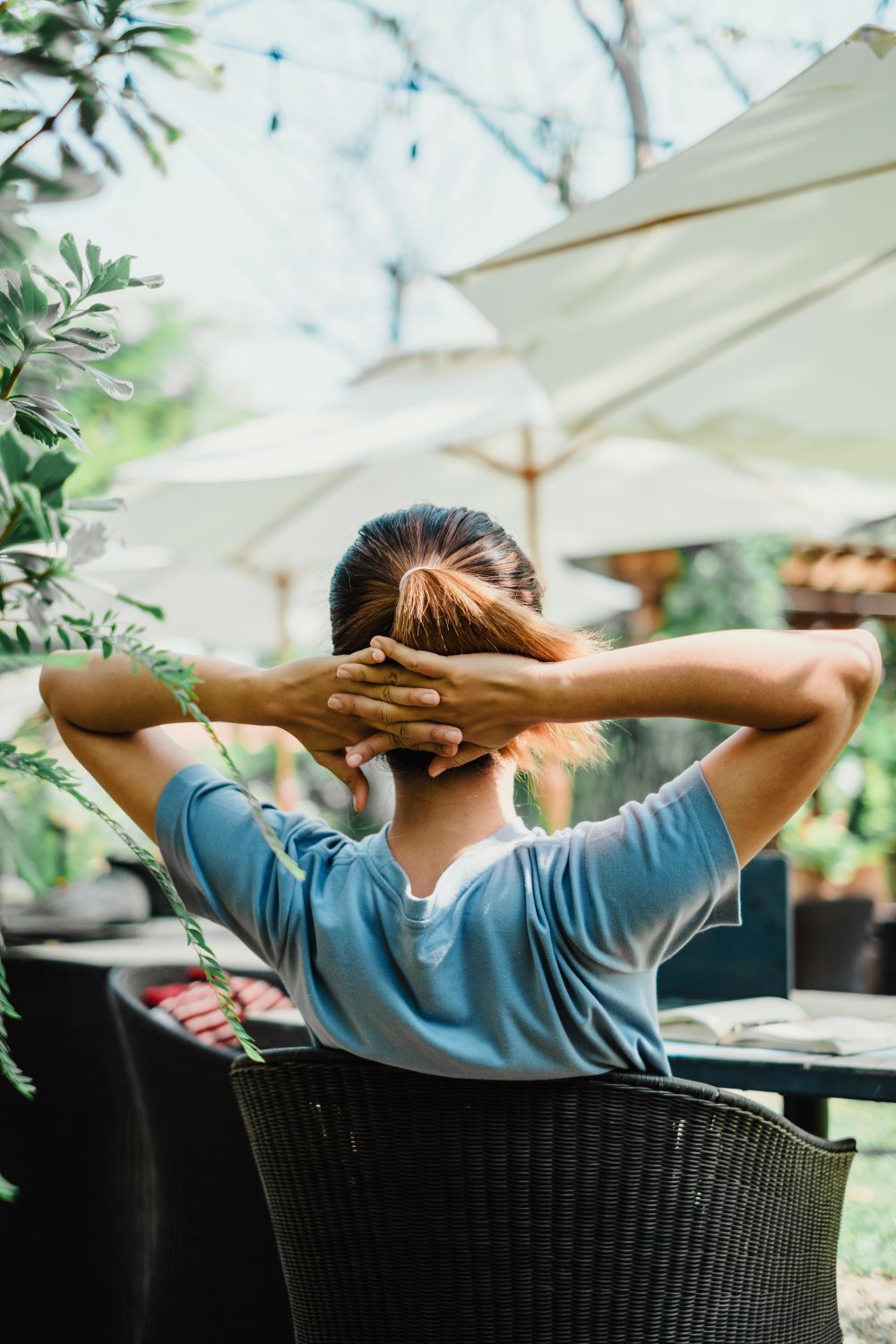 Mosquito Control - Level up your backyard bliss!