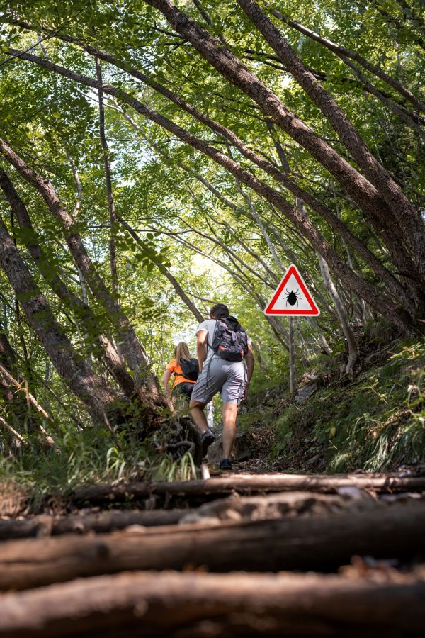 Hikers on a wooded trail passing a tick warning sign — tick exposure risk on San Gabriel Valley foothill trails and open space