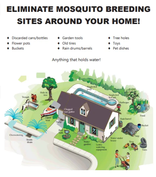Diagram showing common mosquito breeding sites around a home including clogged gutters, bird baths, flower pots, standing water, and neglected pools — mosquito control tips from Janus Pest Management