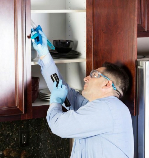 Janus Pest Management technician applying gel bait at kitchen counter harborage zone — professional cockroach control in Los Angeles