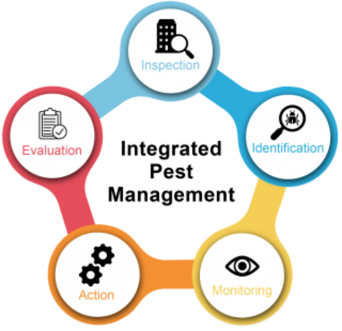 IPM cycle diagram showing Inspection, Identification, Monitoring, Action, and Evaluation — the integrated pest management process used by Janus Pest Management