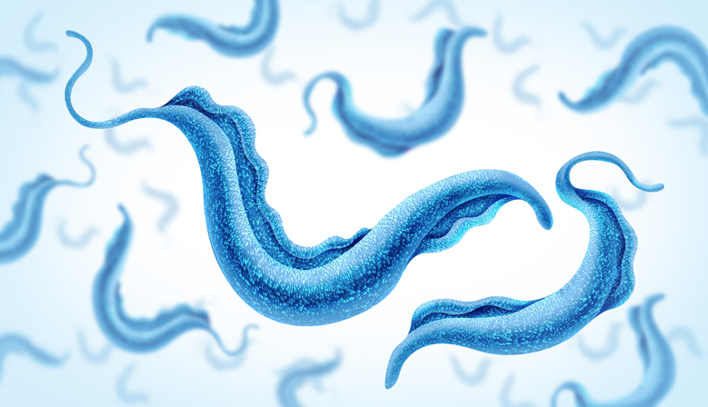 3D illustration of Trypanosoma cruzi parasites — the protozoan that causes Chagas disease, transmitted by kissing bugs in California and the San Gabriel Valley